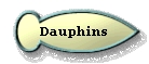 Dauphins