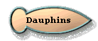 Dauphins